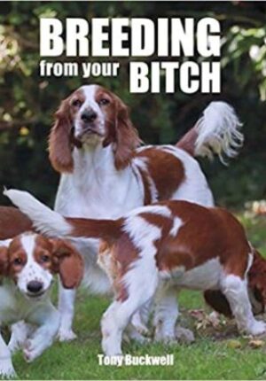 Breeding from your Bitch